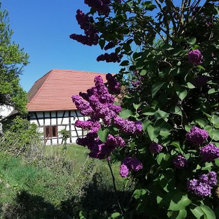 Gite Rue De L'Ange Hunspach 외부 사진