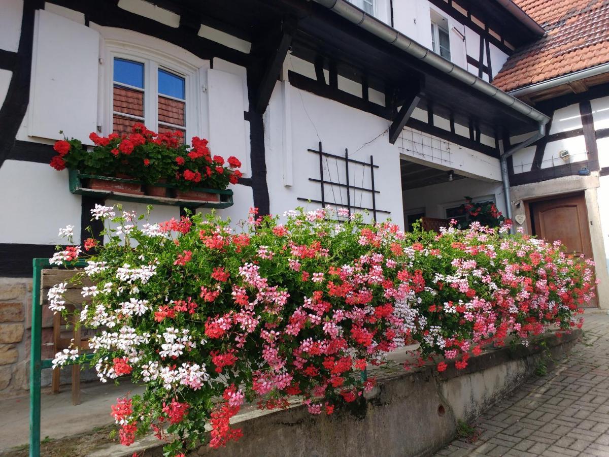 Gite Rue De L'Ange Hunspach 외부 사진