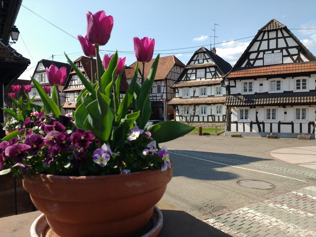 Gite Rue De L'Ange Hunspach 외부 사진